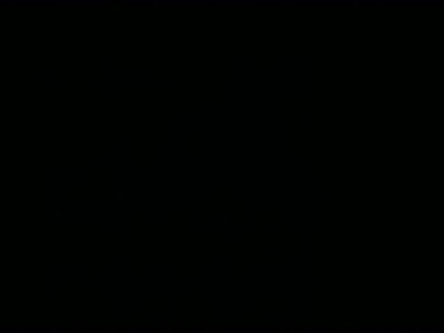 141   The Year of the Mouse [1965]
