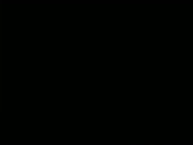 125   Sorry Safari [1962]